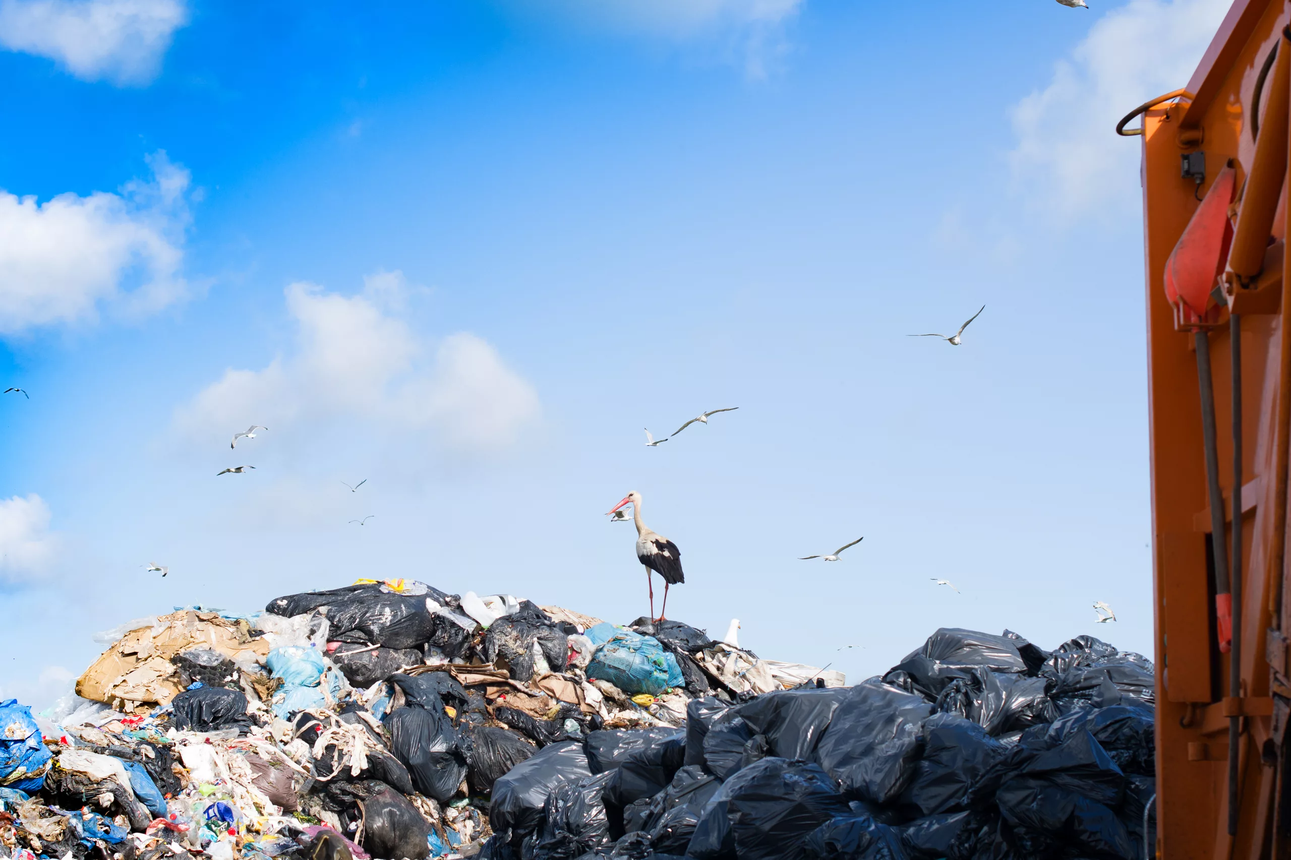 garbage truck unloading at a landfill